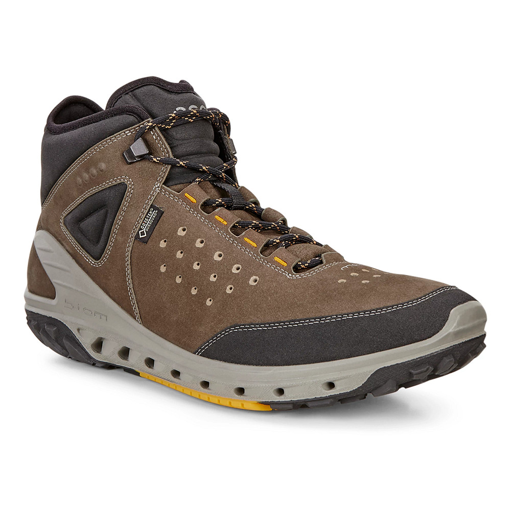 Ecco biom shop venture gritty gtx