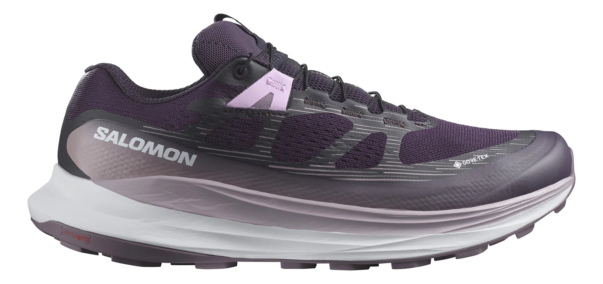 salomon trail blazer 2 gtx