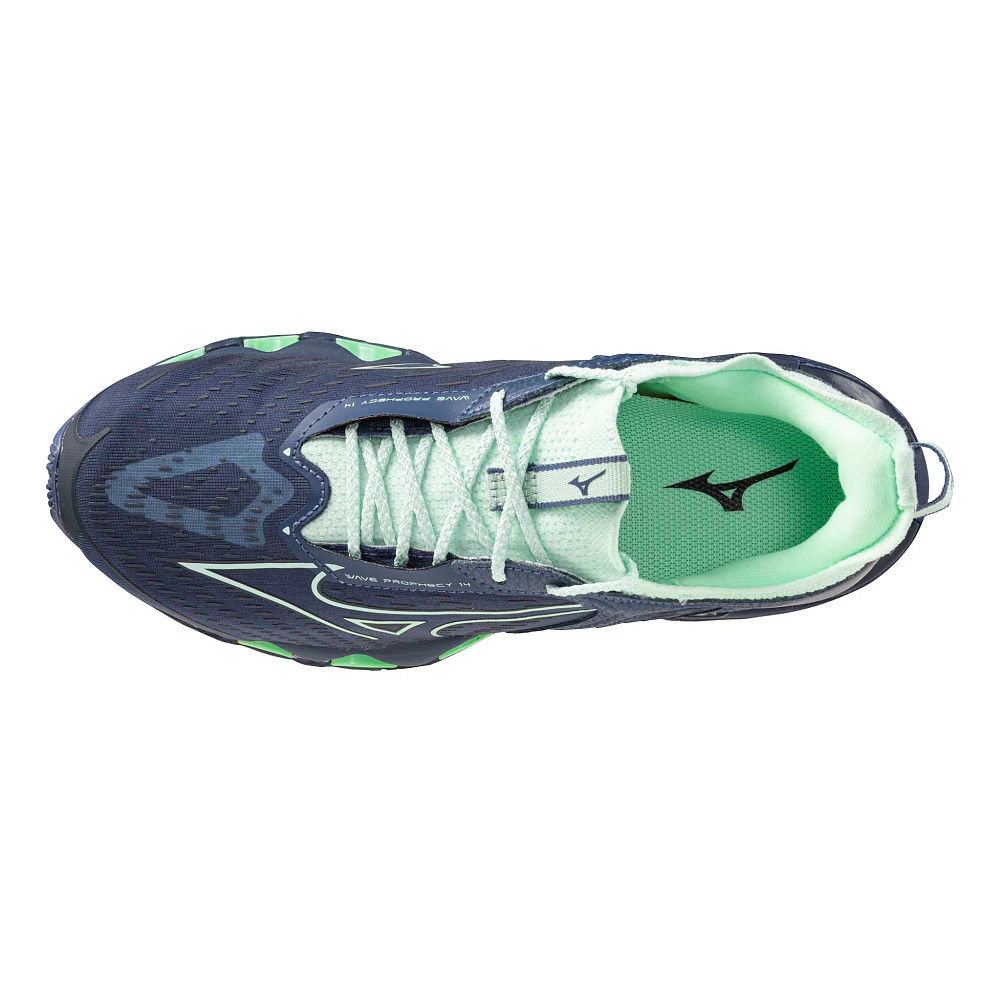 Womens Mizuno Wave Prophecy 14 Running Shoe