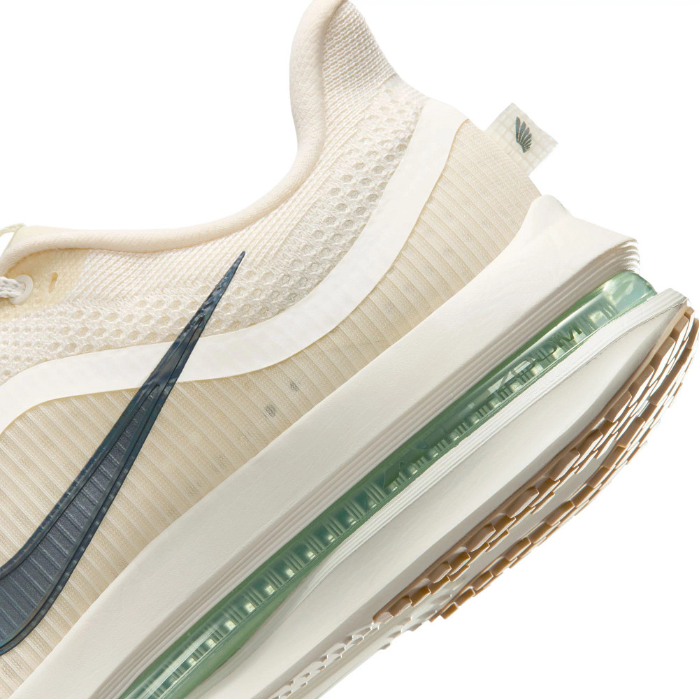 Mens Nike Pegasus Premium Running Shoe