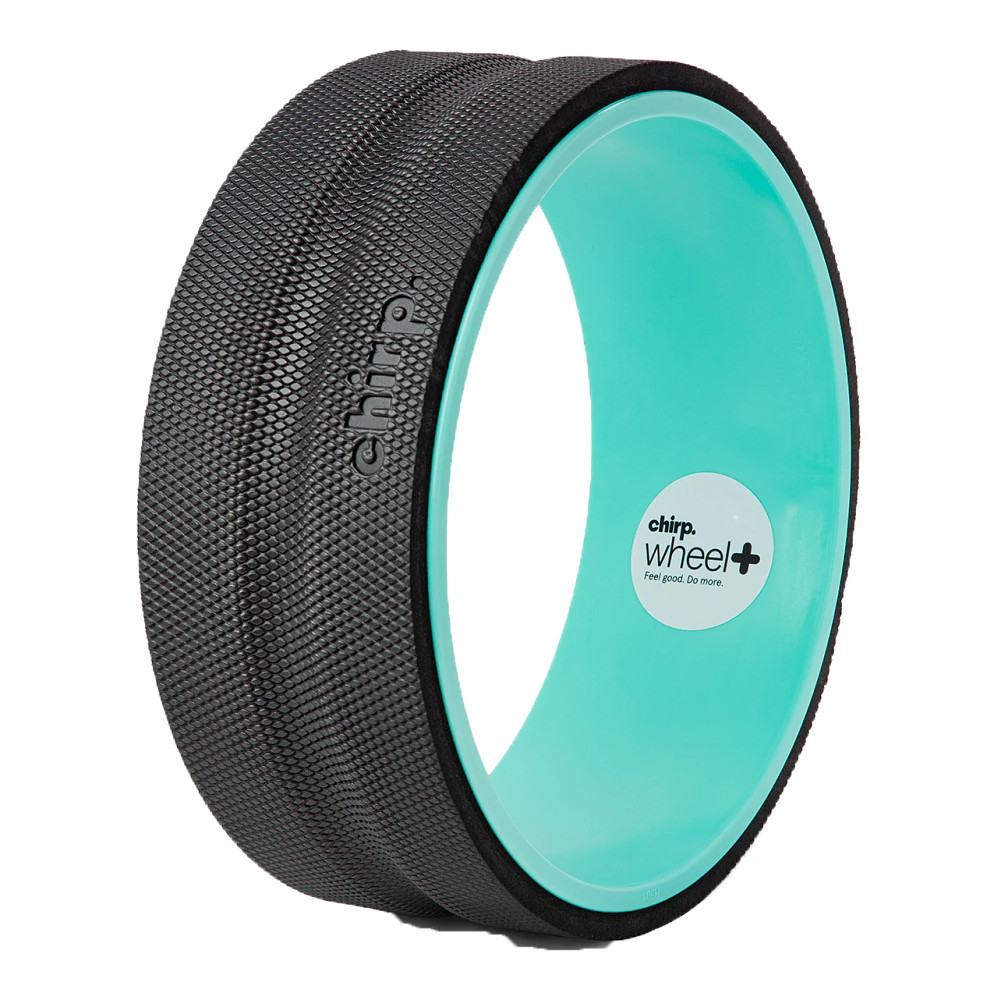 Chirp Wheel Plus 12 Inch Fitness Equipment