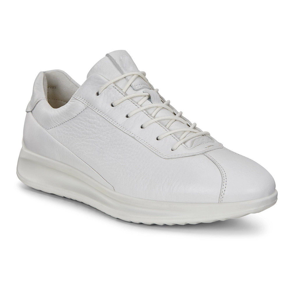 Ecco 2024 aquet sneakers