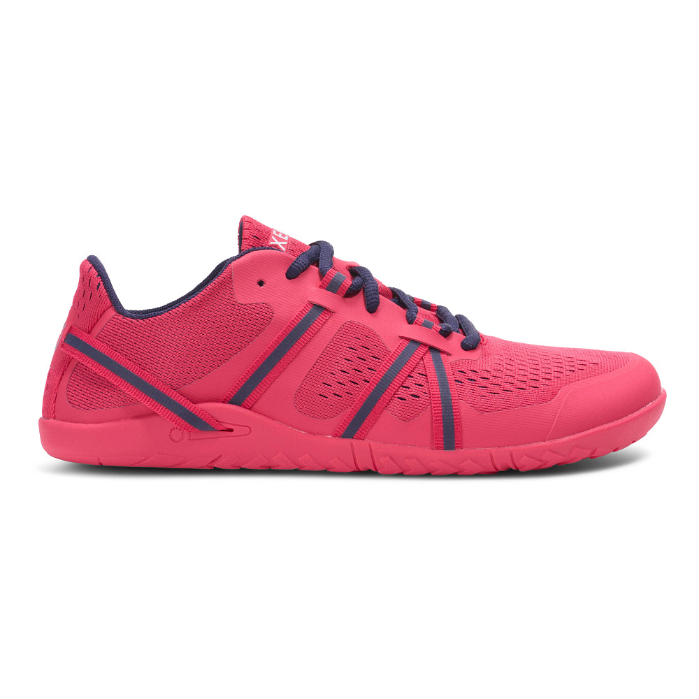 SHOE I J-FORCE Ⅱ Cut in half: Xero Shoes Speed Force II Review (2024) | RunRepeat