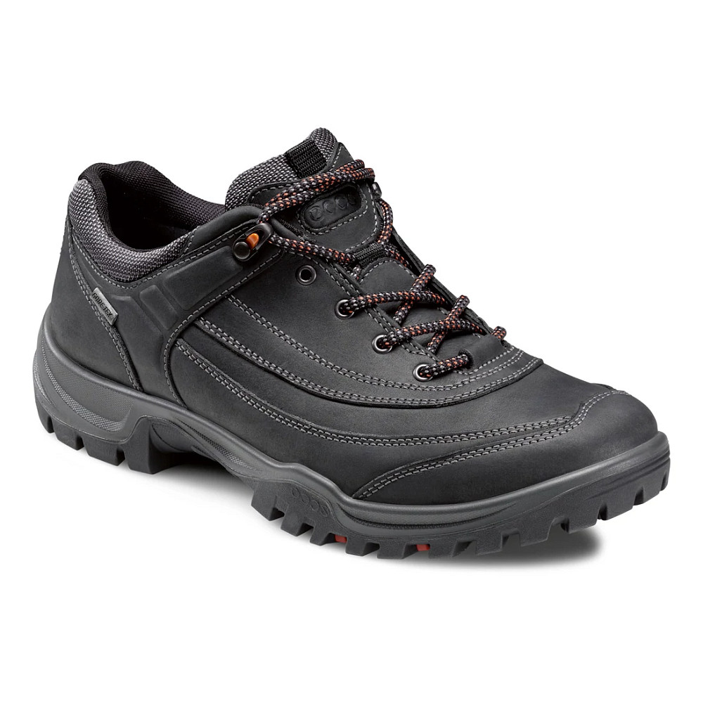 Mens Ecco USA Xpedition III-Torre GTX Hiking Shoe