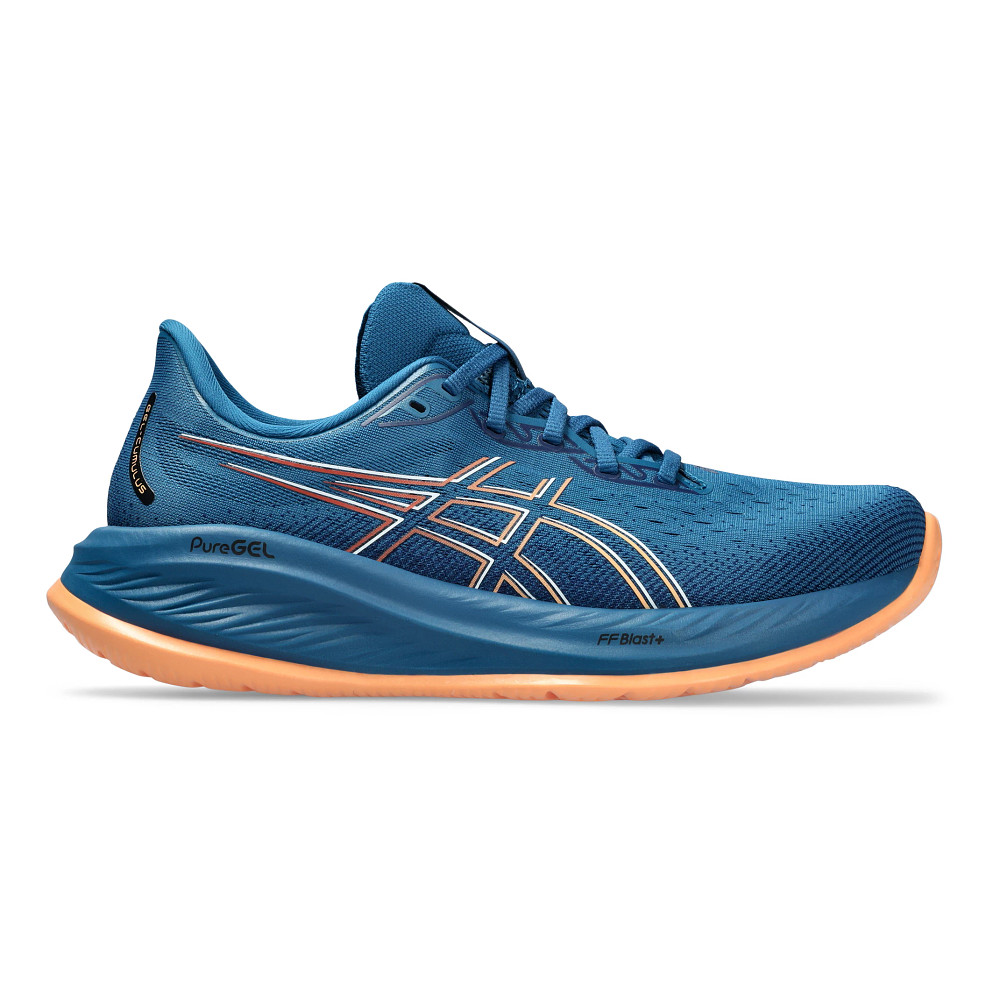 Cheap mens asics shoes online