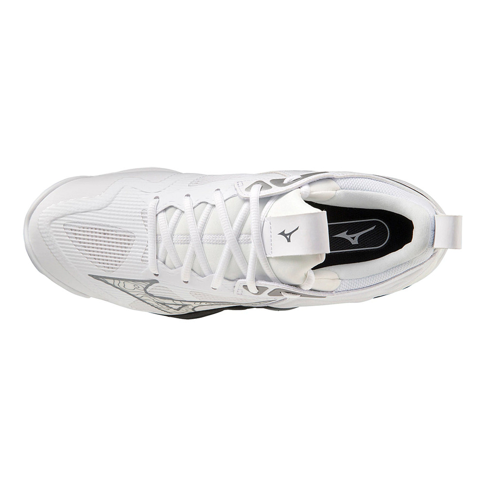 Amazon.com | Mizuno Wave Momentum 3 Men's Volleyball Shoe