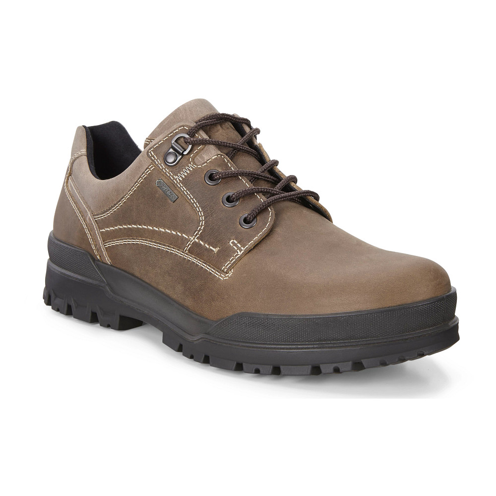 Ecco men's track 6 gtx plain toe on sale shoe