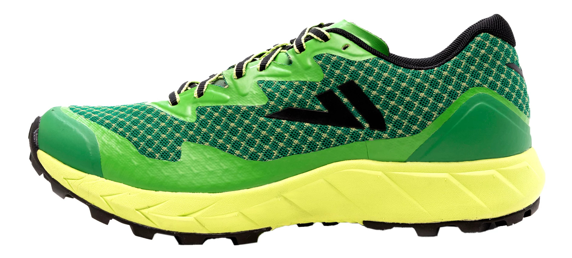 asics mister v
