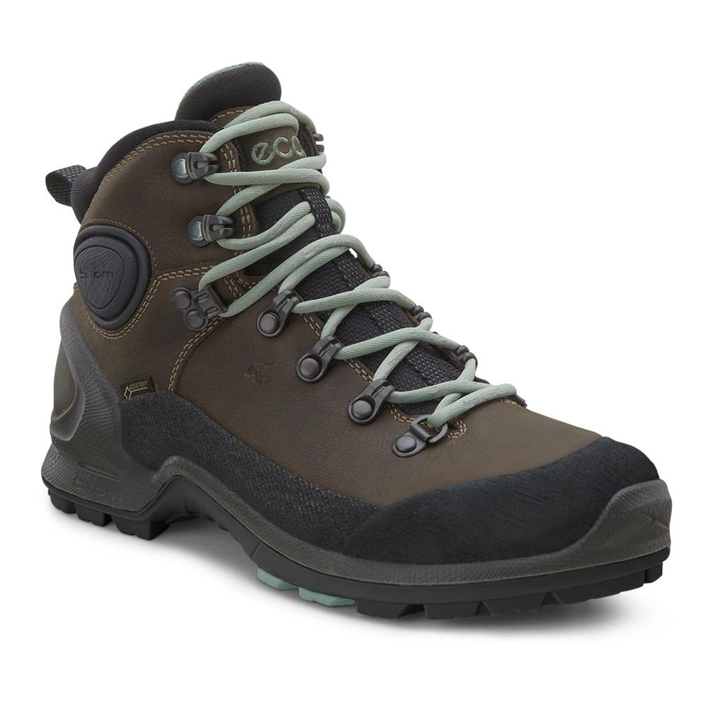 udsultet Topmøde På jorden Womens Ecco Biom Terrain High GTX Hiking Shoe