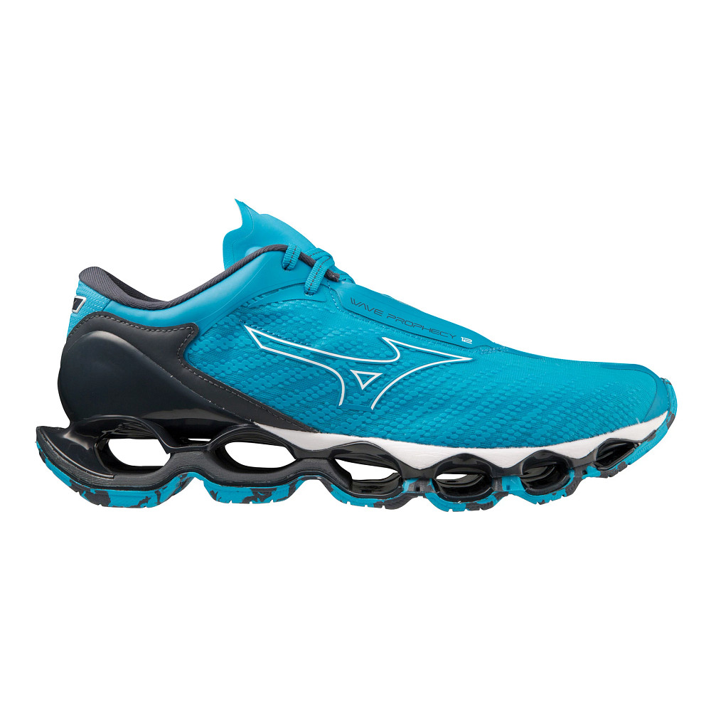Mens Mizuno Wave Prophecy 12 Running Shoe