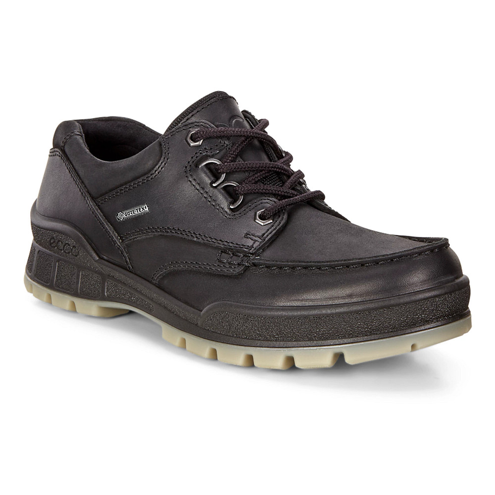 ecco TRACK 25 M エコー　ゴアテックス GTX Mens Ecco Track 25 Gore-Tex Low Walking Shoe