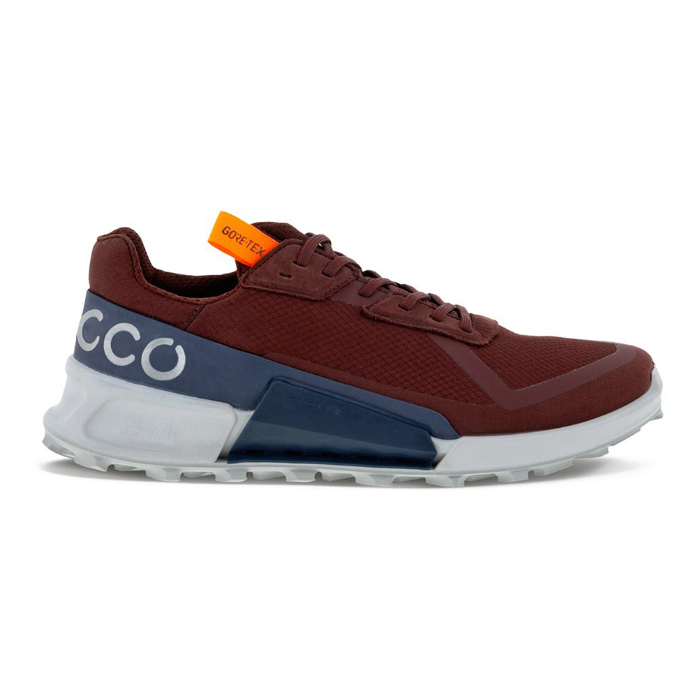 Mens Ecco BIOM 2.1 X Country GoreTex Hiking Shoe