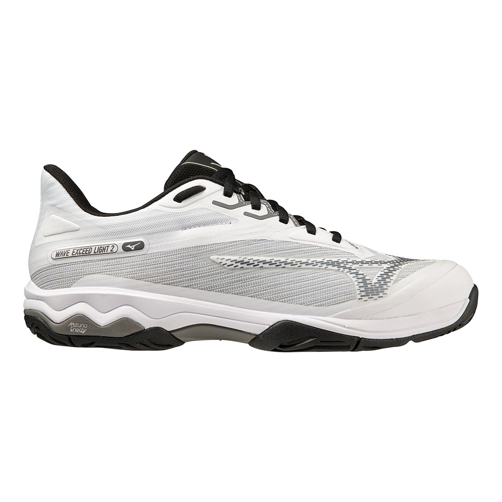 Mens Mizuno Wave Exceed Light 2 AC Tennis Shoe Court Shoe