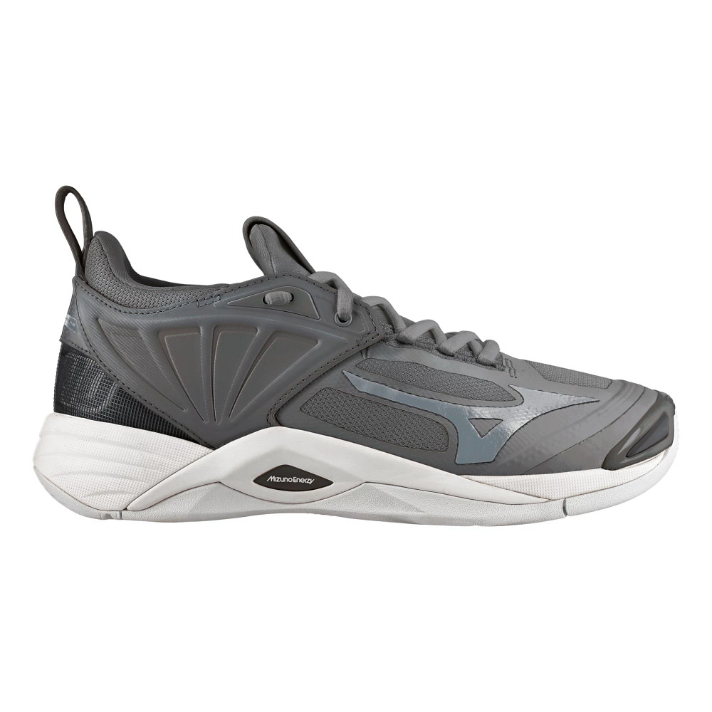 Womens Mizuno Wave Momentum 2 Volleyball Court Shoe