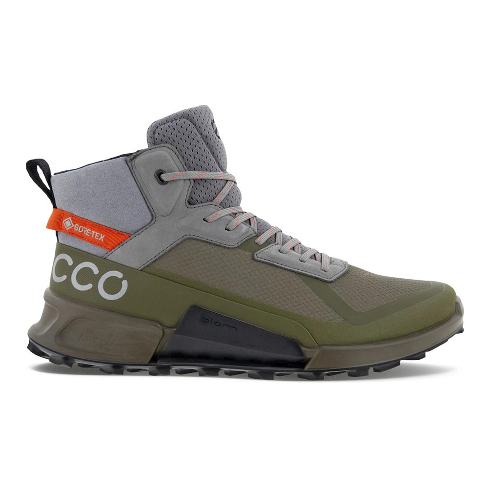 multifunctioneel rand Crack pot Mens Ecco BIOM 2.1 X Mountain GoreTex Mid Hiking Shoe