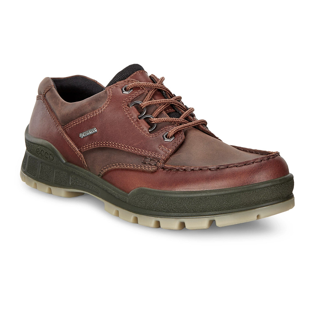 Energize Øl Indstilling Mens Ecco Track 25 Gore-Tex Low Walking Shoe