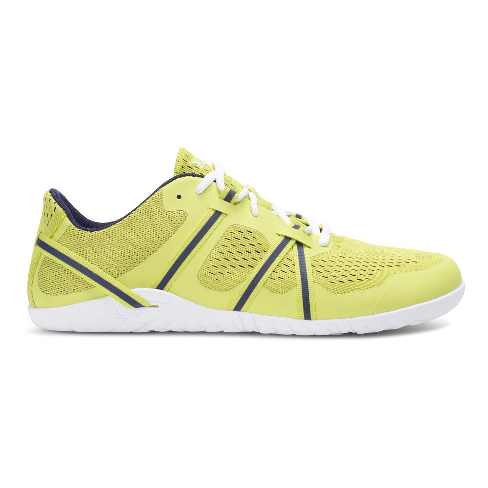 XEROSです♪ Amazon.com | Xero Shoes Forza Trainer Frost Gray Women's