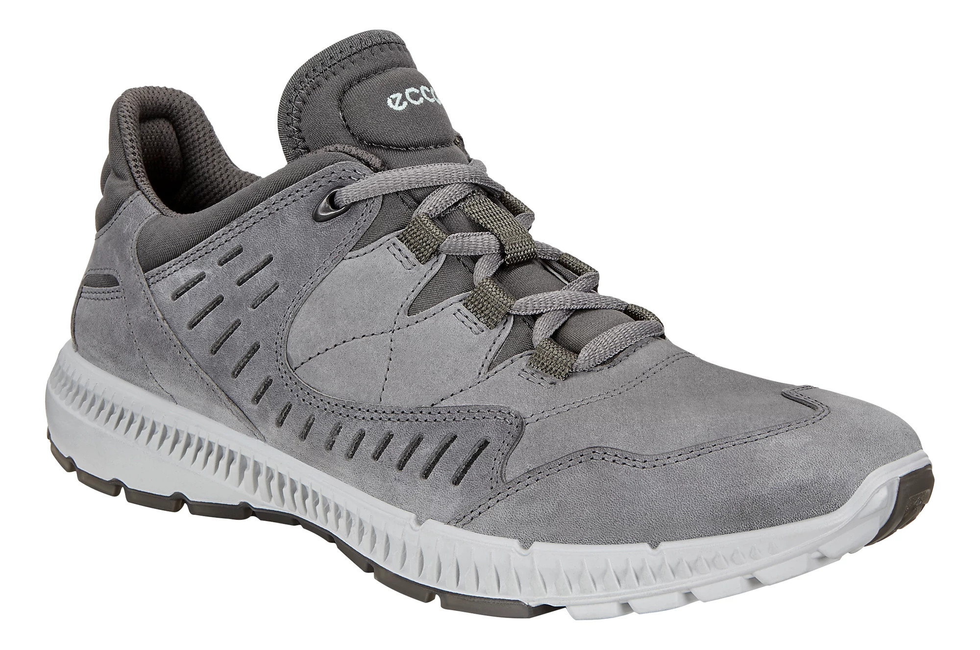 Ecco men's terrawalk hiking shoe online