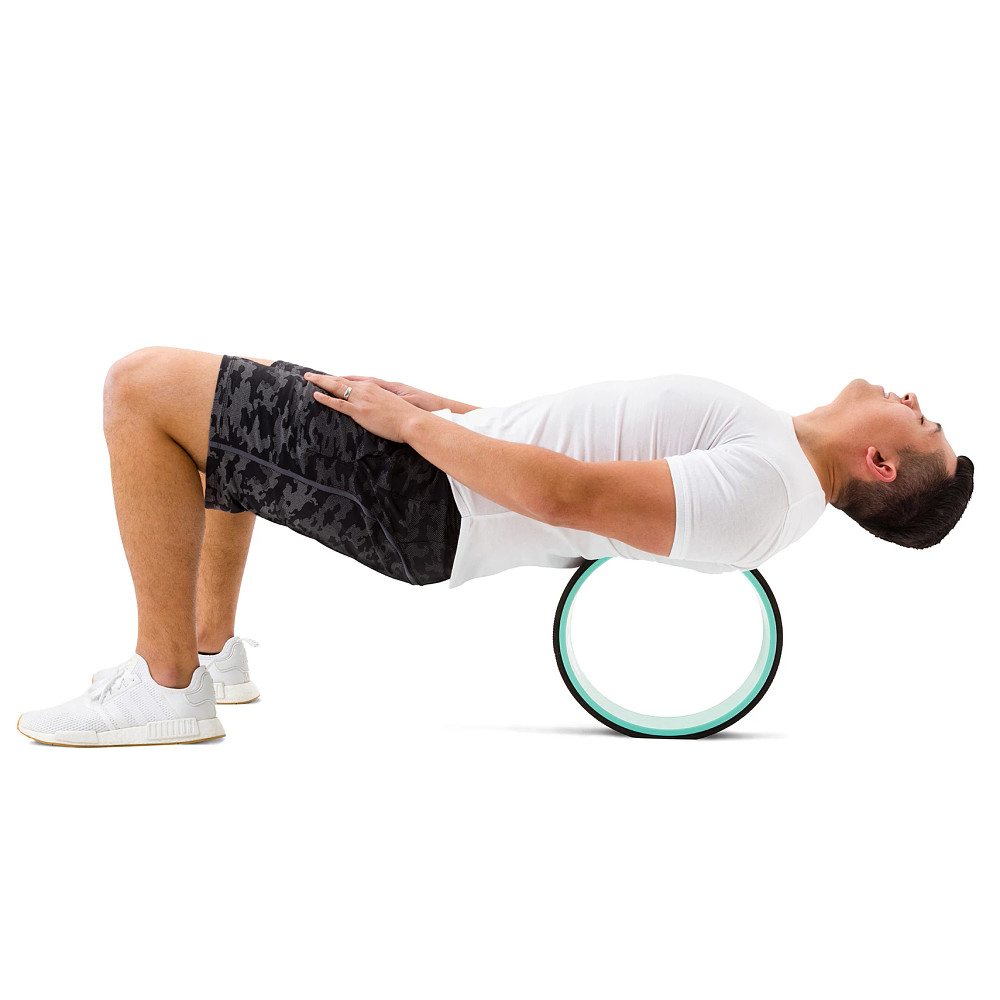 Chirp Wheel Plus 12 Inch Fitness Equipment