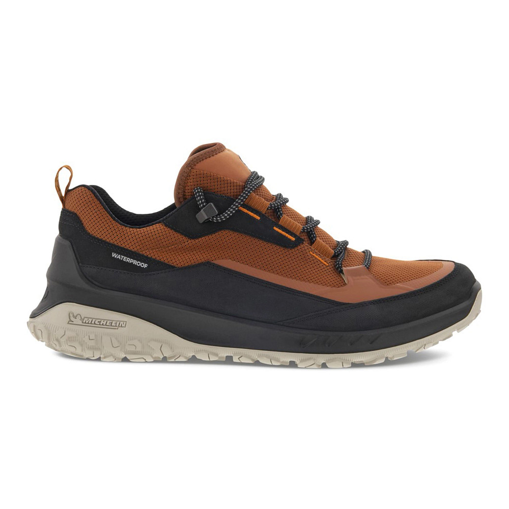 Ecco receptor shop ultra terrain