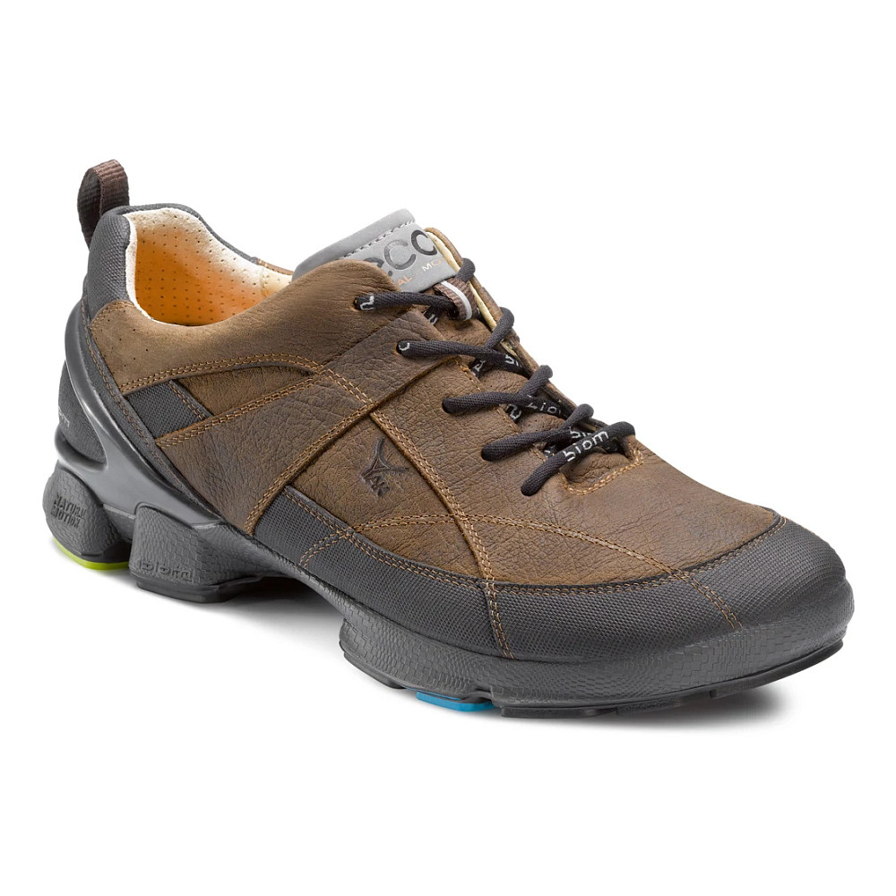 Mens Ecco Biom Walk 1.3 Shoe