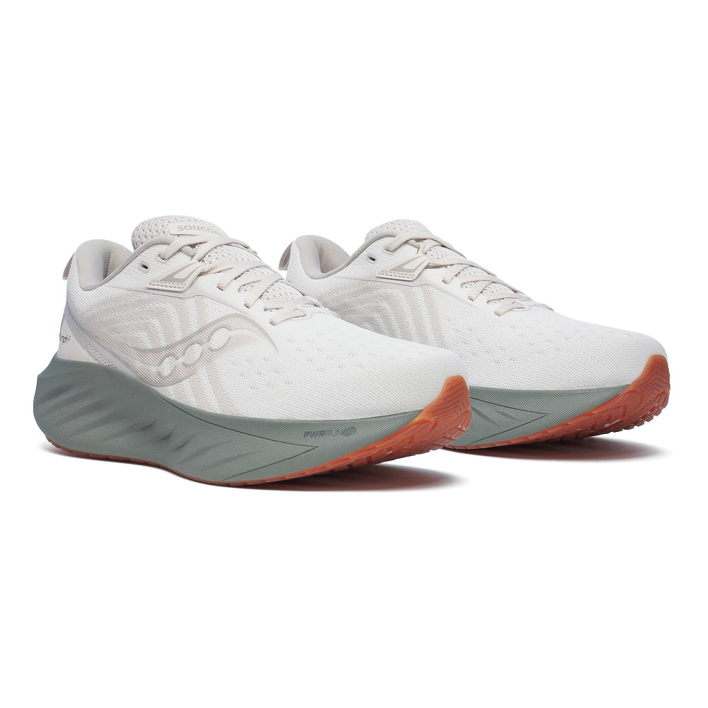 Mens Saucony Triumph 22 Running Shoe