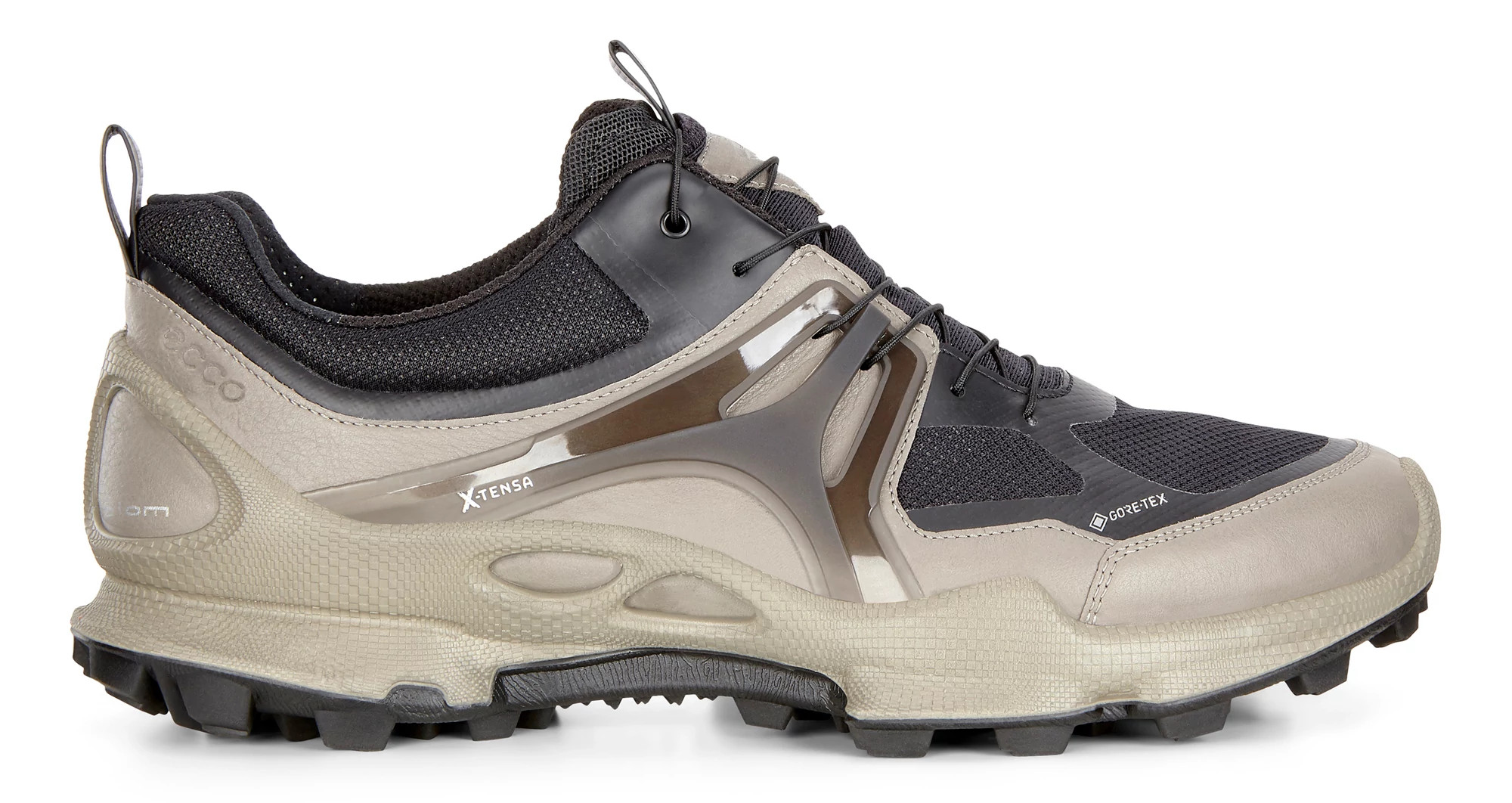 Mens Ecco BIOM C-Trail Low GTX Casual Shoe