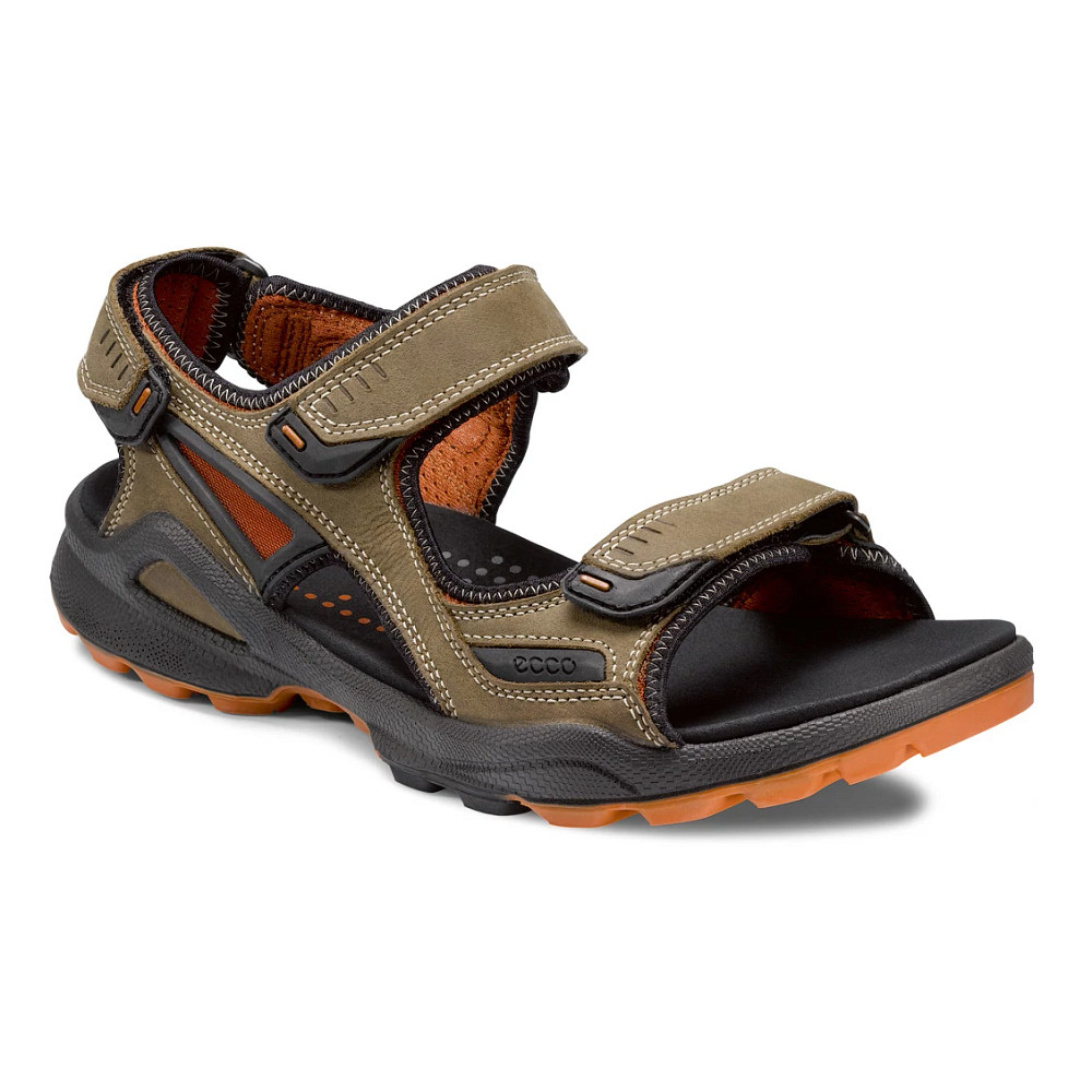 Ecco biom terrain discount w