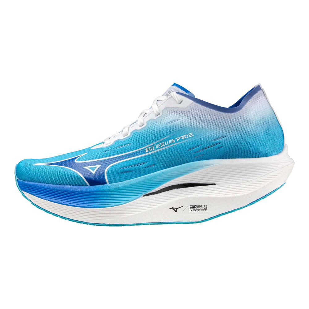 r1lgoelp6d?w=1000&h=1000