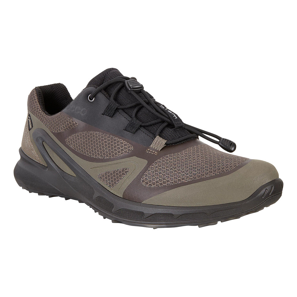 Men s Ecco Biom Omniquest GTX