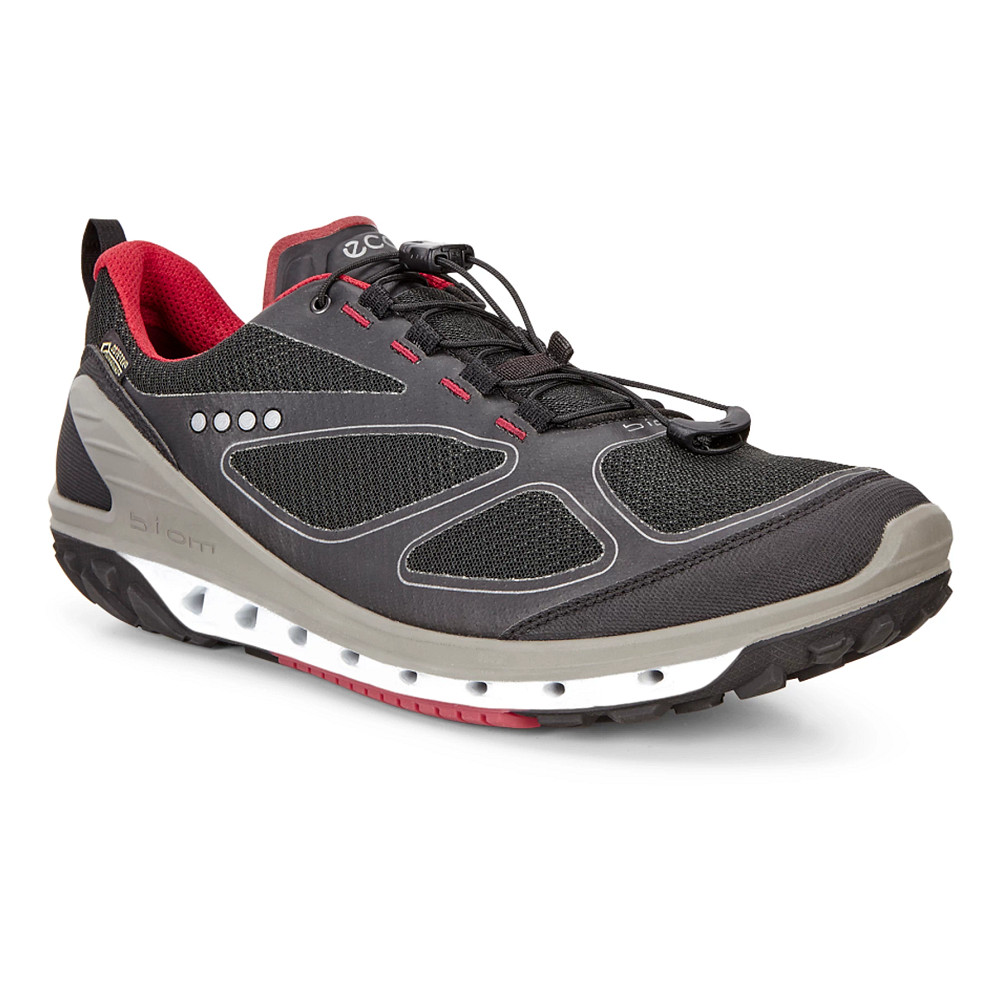 Ecco biom venture gtx clearance hiking shoes