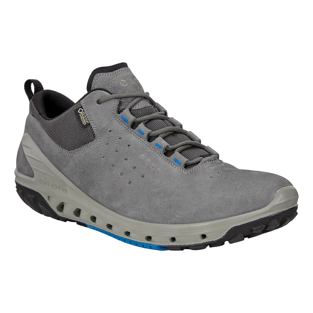 Kunstneriske Hold op Mappe Mens Ecco Biom Venture GTX Tie Casual Shoe