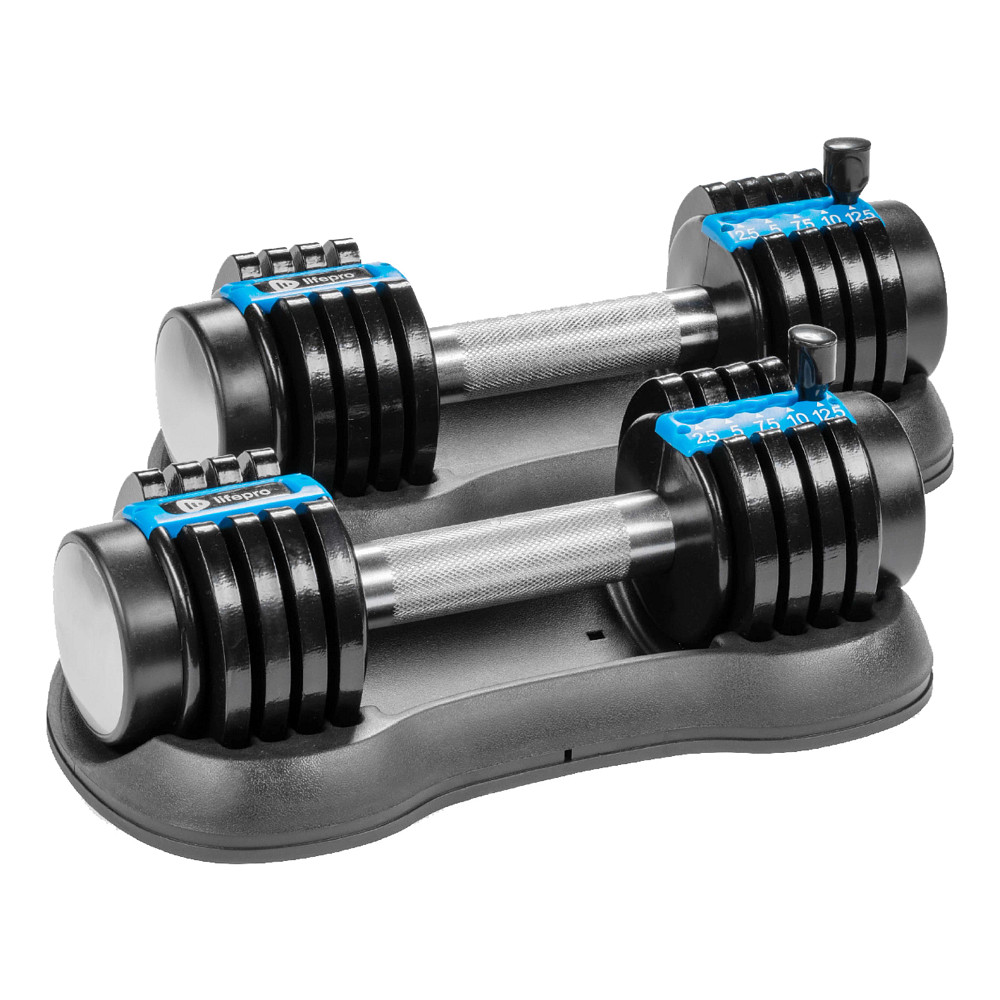 Lifepro PowerFlow 12.5lbs Set of 2 Fitness Equipment