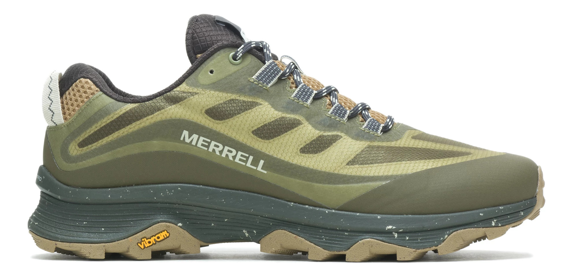 Mens Merrell Moab Hiking Shoe