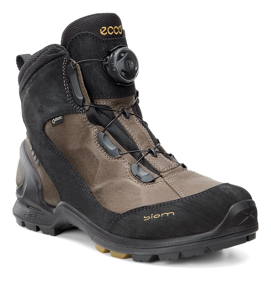 Mens Terrain Mid GTX Shoe